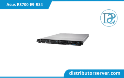 Asus RS700-E9-RS4