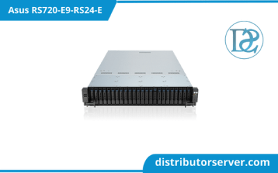 Asus RS720-E9-RS24-E