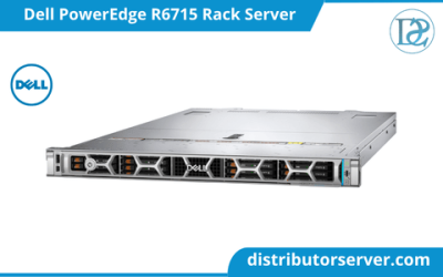Dell PowerEdge R6715 Rack Server